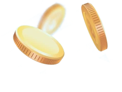Sliced lemon wedges
