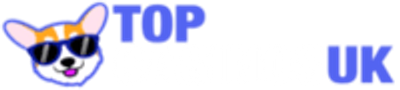 Top Casinos UK