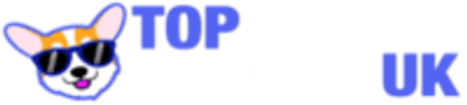 Top Casinos UK